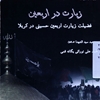 زيارت در اربعين: فضيلت زيارت اربعين حسيني عليه‌السلام در کربلا