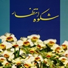 شکوه انتظار