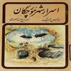 اسرار شهر مورچگان