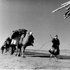 نمايي از کوچ در بجنورد